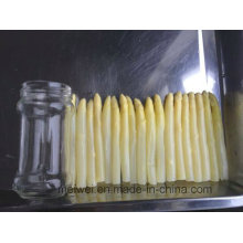 212ml Canned White Asparagus with Delicious Taste